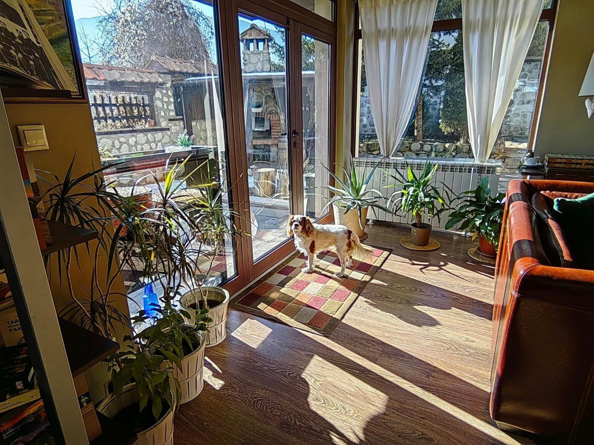 Hotel Famil - Adults Only Bansko Exterior photo